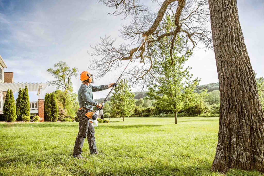 tree trimming Waco TX