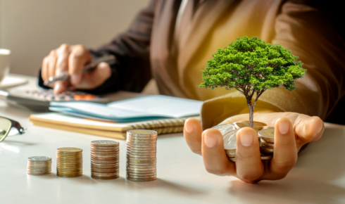 small business accountant